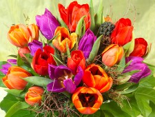 Blumen aus eigener Produktion (z. B. Sonnenblumen, Tulpen, etc.)